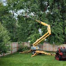 Best Emergency Tree Removal  in Kempner, TX