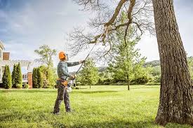 Professional Tree Services in Kempner, TX
