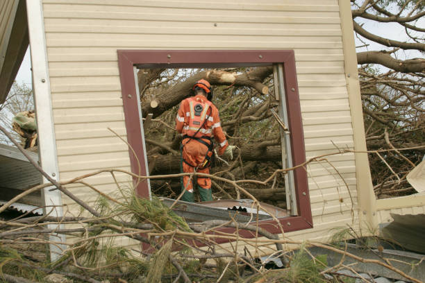 Best Utility Line Clearance  in Kempner, TX